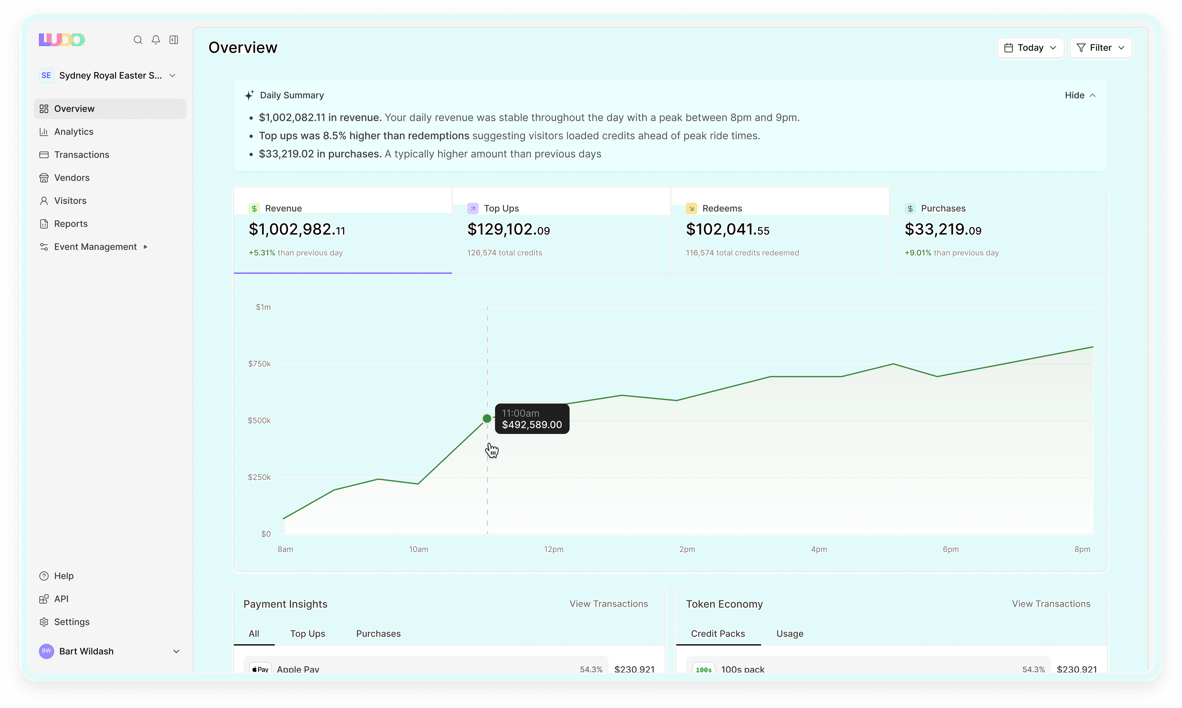 Ludo dashboard overview